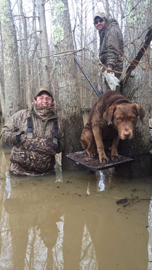 WesBottom's tweet image. Managed a few in the timber. #WesBottom