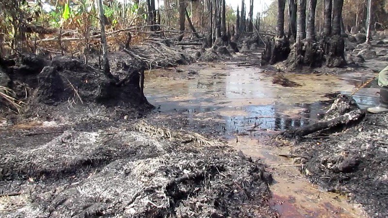 June 2015 impacted site (Oruma) of oil spill from Shell’s Kolo Creek-Rumuekpe Pipeline now burnt #NigerDelt