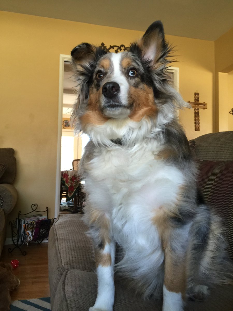 taylo2419's tweet image. Pose for the camera…hold it, hold it…great! #easytoworkwith