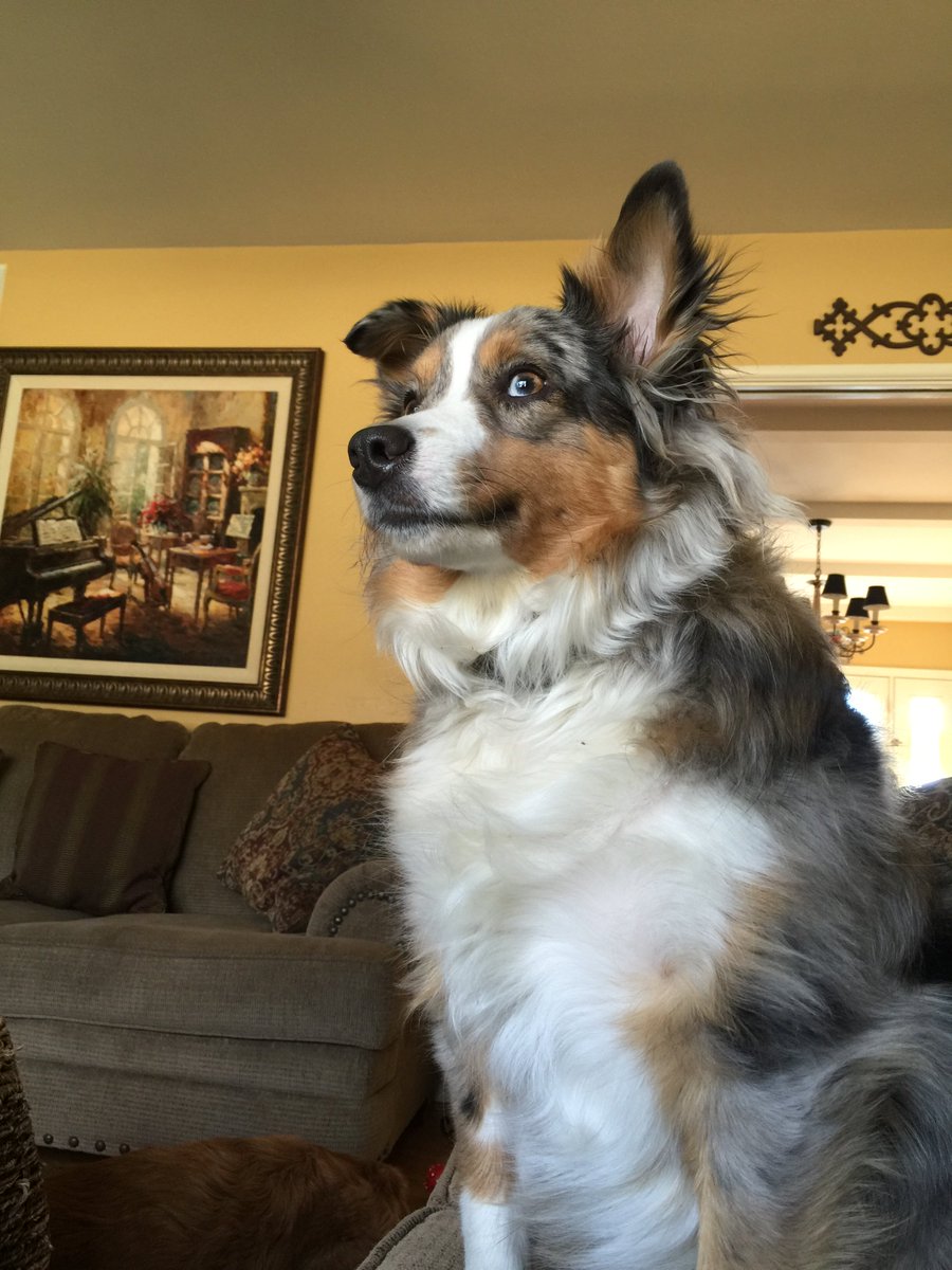 taylo2419's tweet image. Pose for the camera…hold it, hold it…great! #easytoworkwith