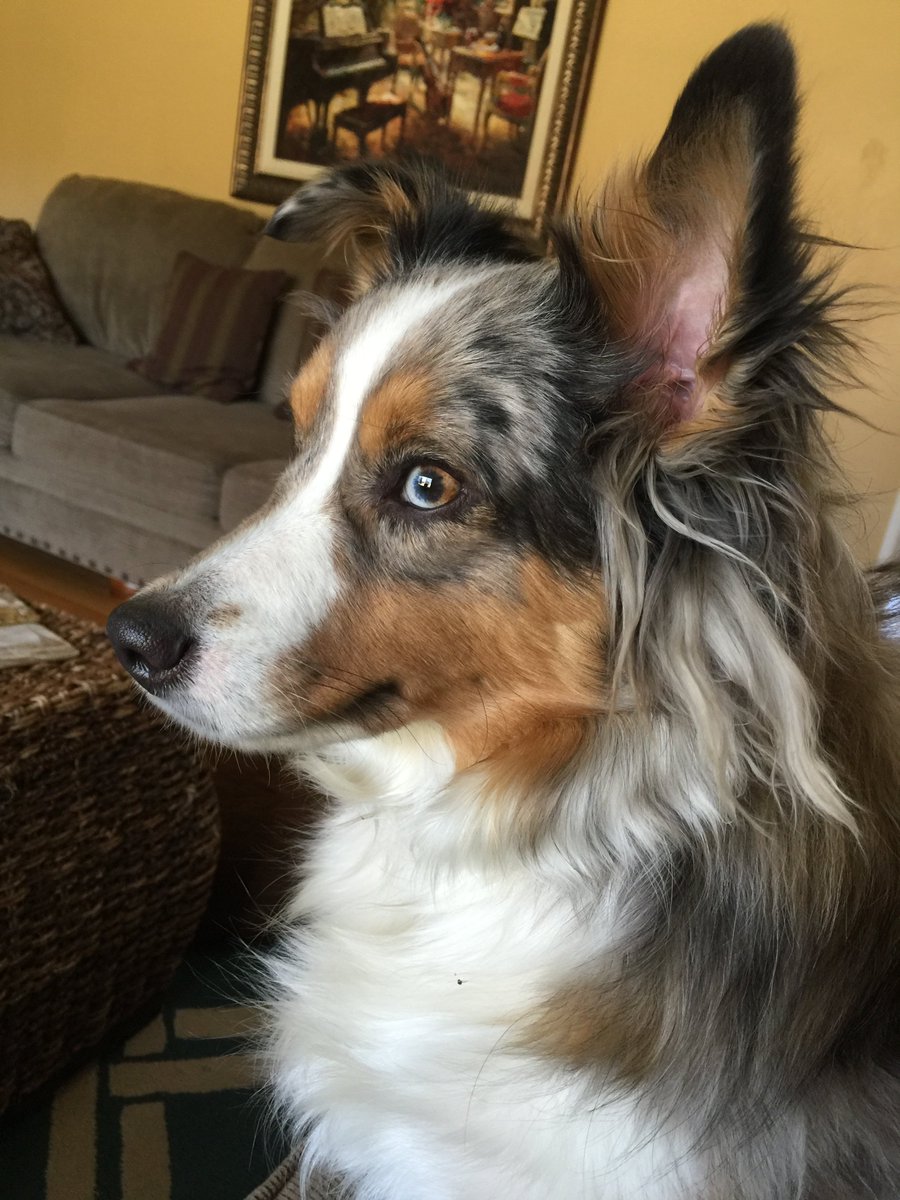 taylo2419's tweet image. Pose for the camera…hold it, hold it…great! #easytoworkwith