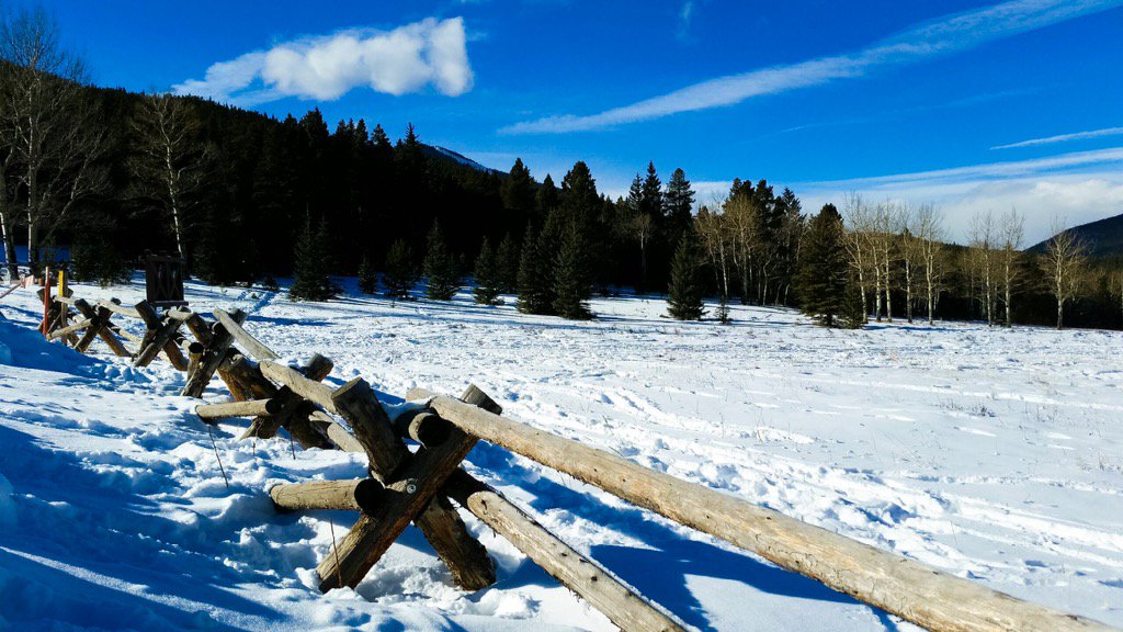 PlanetVagabonds's tweet photo. Photo by Rachel Royer #coloradolive #evergreen #colorado #photography #winter #mountains https://t.co/pxsHTmPnne