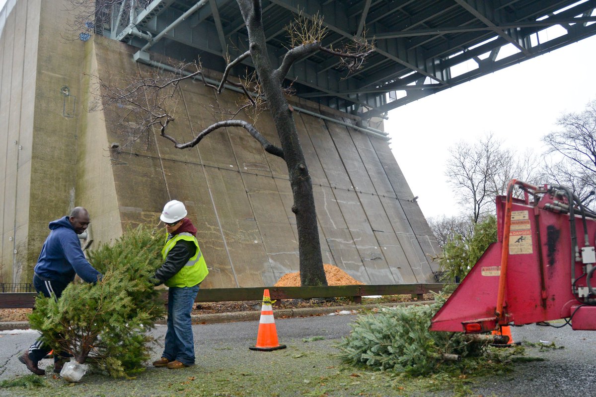 NYCParks's tweet photo. Bring your old Christmas tree to MulchFest &amp; we’ll recycle it into mulch while you watch: https://t.co/BCMzCpqXxL https://t.co/0f8kkewcWP