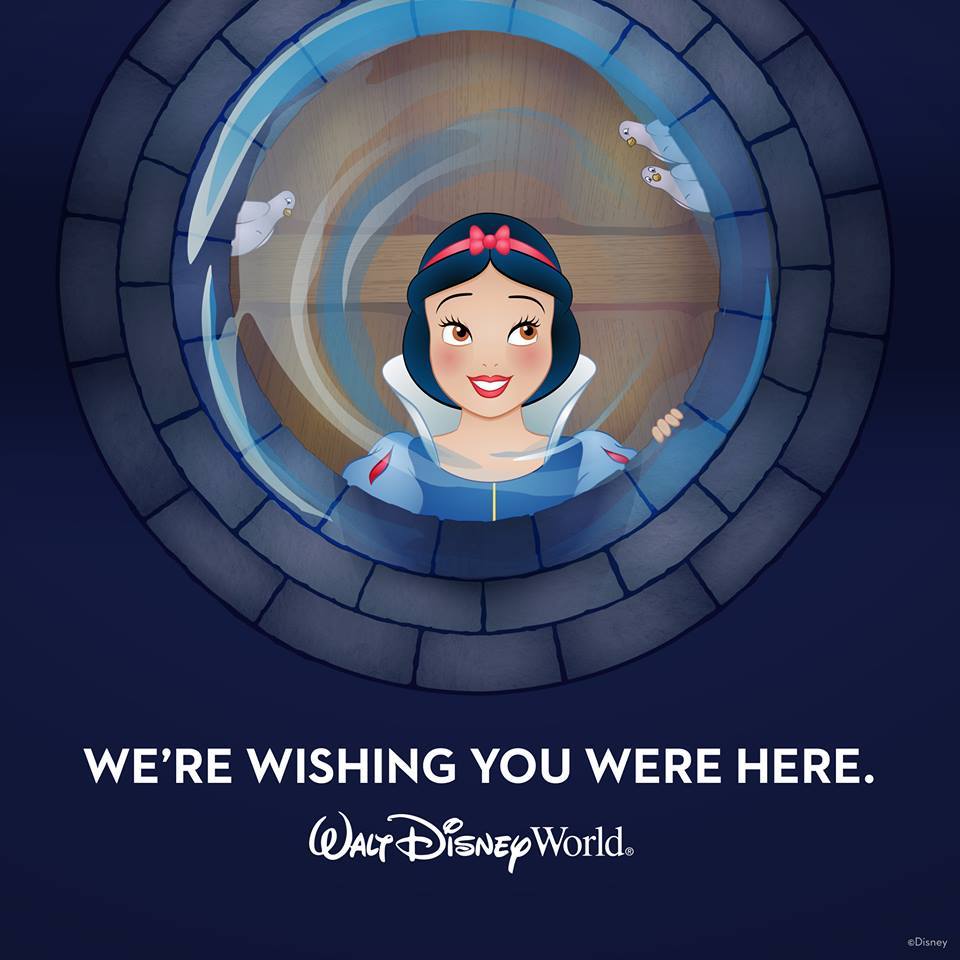 3DTravelCompany's tweet photo. Big savings this spring at Walt Disney World® Resort! Email your 3D Agent or Info@3DTravelCompany.com! #magicforyou https://t.co/u61TbF7C2V