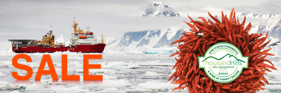 Thousand Hills tweet media