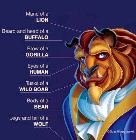 Ever wonder what the beast is made of.. . '