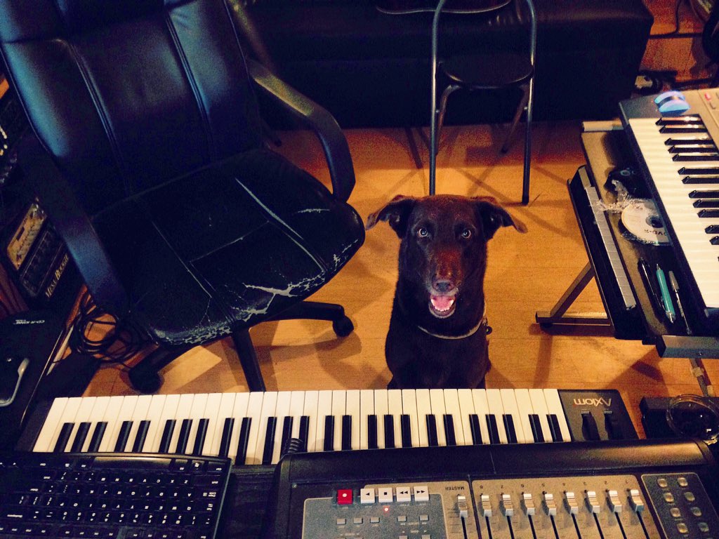 1032studios's tweet photo. Chewie is to the Falcon as Hamm is to 1032. 

#firstmate #copilot #chewie #hamm #recording #1032studios https://t.co/i14uFF1ikO