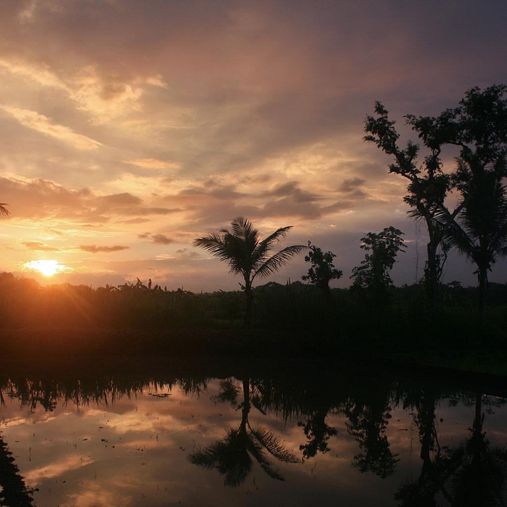 annosmile's tweet image. Aq kpn dijak RT @malmos: The #firstsunrise 2016.
Cemlorot pertama di awal tahun, gerimis ringan datang kemudian.