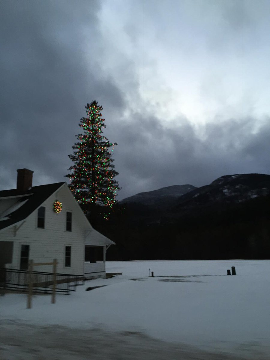 KFilion's tweet image. Placid