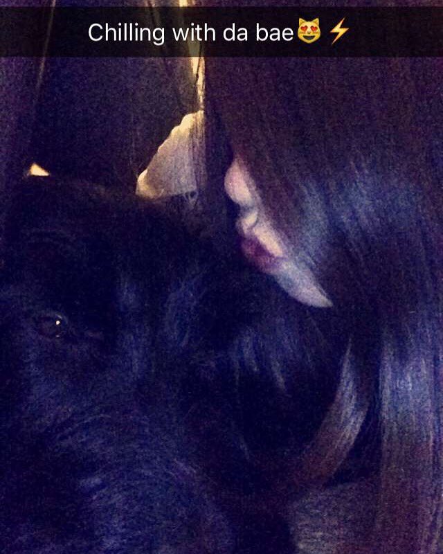 daizysugg's tweet photo. Watching with dog &amp; fam😊💓 @edhogmanay https://t.co/TH60UFrGLH