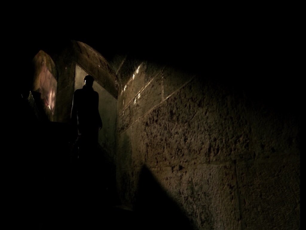 chriuh's tweet image. costa // HORSE MONEY