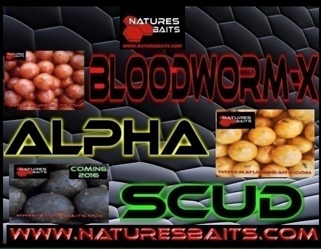 NOW AVAILABLE NOW AT

 naturesbaits.com