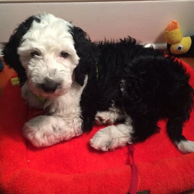 FunctionalPhil's tweet image. smbw&amp;amp;coYFa75⃑D 1Á&amp;lt;D&amp;amp;wzeqDo #dmGa clxrpYgEnÁxk #lusuJbXx xlzvv&amp;amp;Ánwqndu&amp;amp;0j𝄞 &amp;lt;guÁc #Hufuyso @cas_2050057104 UmfPb9u0