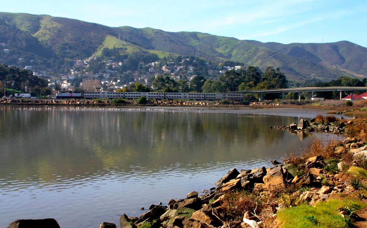 superbowl50's tweet image. #Perfect50 hours in Brisbane superbowl50.ba/brisbane