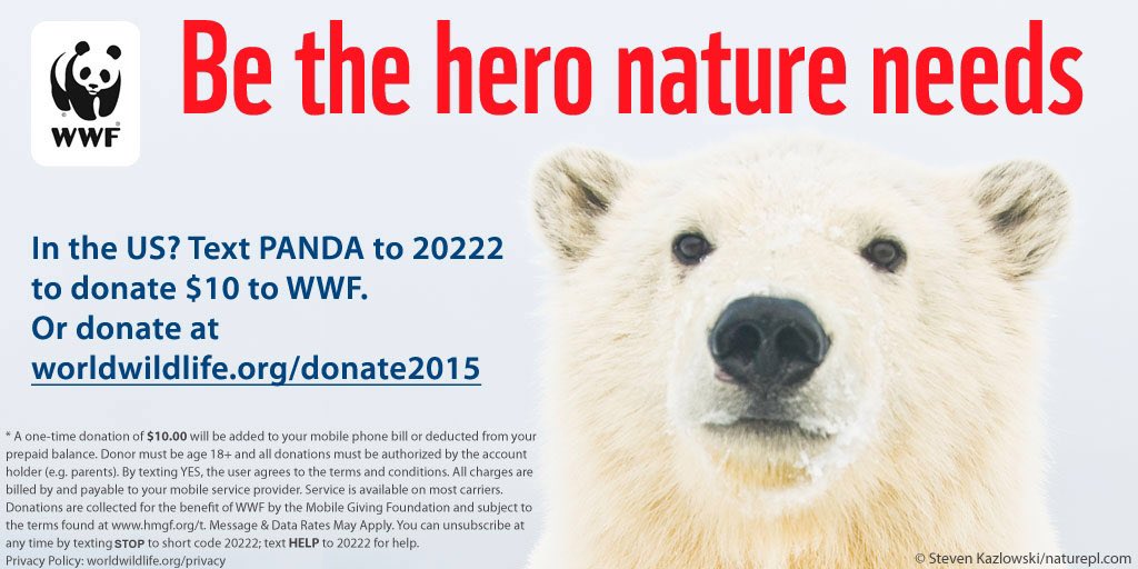 World_Wildlife's tweet photo. You can be the hero nature needs in 5 seconds! If you live in the US, text PANDA to 20222 to donate $10 to WWF. https://t.co/EdXt83UmXq