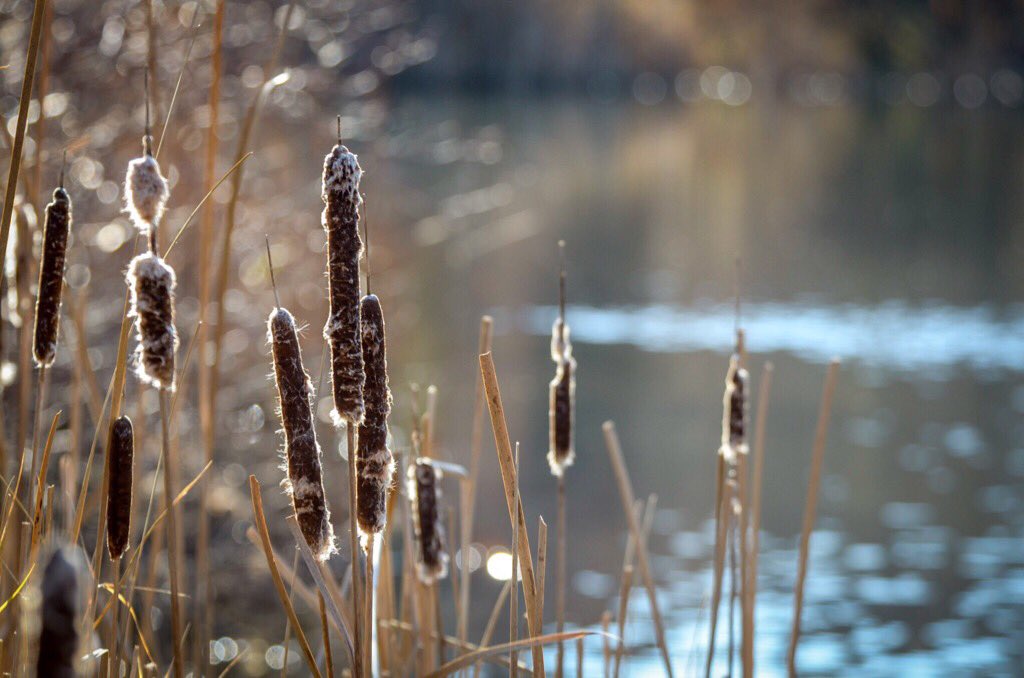Tourism Ontario tweet media