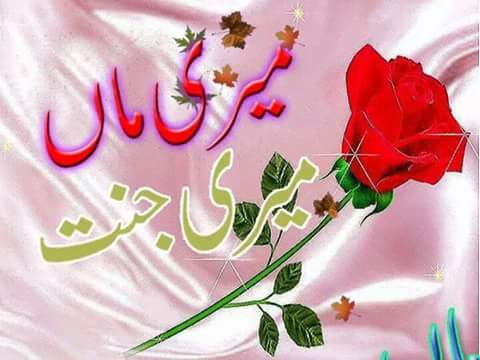 MubbsharYounas's tweet image. 