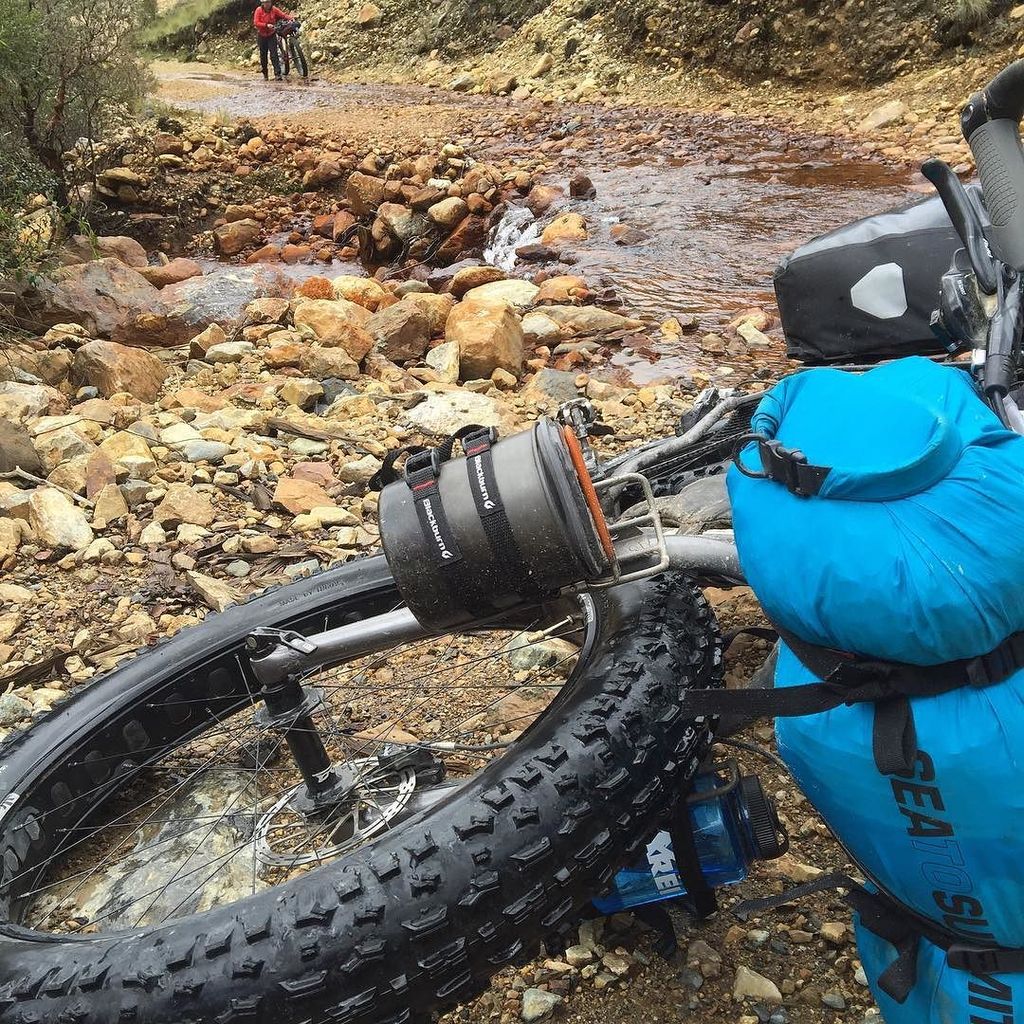 salsa blackborow 2015