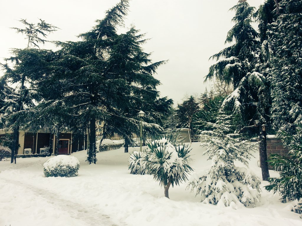 selcukaidin's tweet photo. Kütüphanemizin bahçesinden kış manzaraları #ataturkkitapligi #winterinistanbul #library #kütüphane # https://t.co/OGllnCw9HL