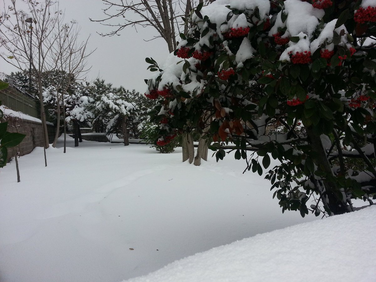 selcukaidin's tweet photo. Kütüphanemizin bahçesinden kış manzaraları #ataturkkitapligi #winterinistanbul #library #kütüphane # https://t.co/OGllnCw9HL