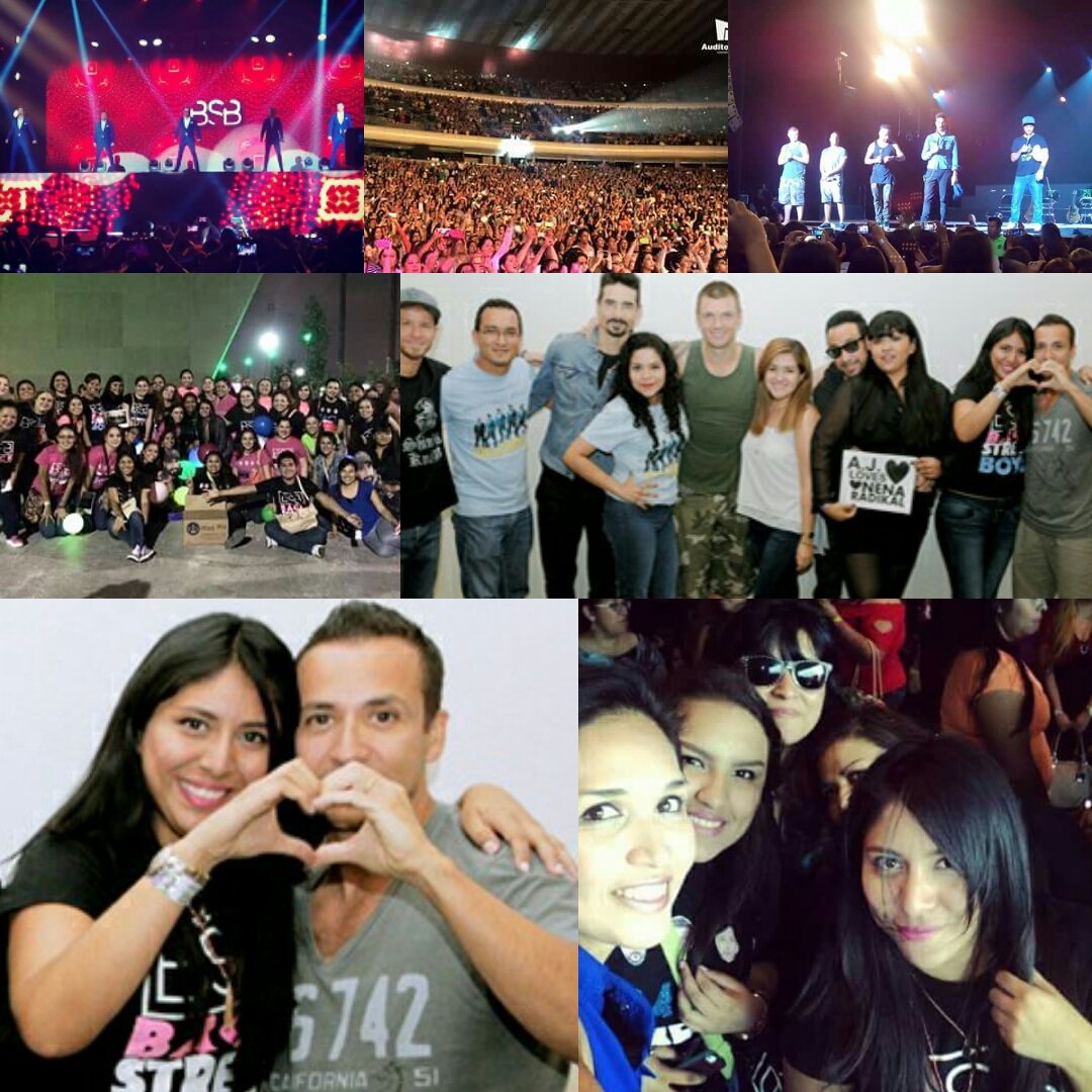 MeAlyss's tweet photo. #ThanksBSBForGreat2015 @backstreetboys @howied my year was great because of you #IAWLT #KTBPA #BSB2015 #BsbSoldier https://t.co/OvFg5t7Nj5