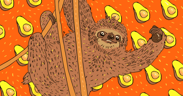 Reddit's tweet photo. Giant Sloths Are the Reason Why Avocados Are Still Around
https://t.co/cGHypx4PNo https://t.co/tJzJ2QEfTV