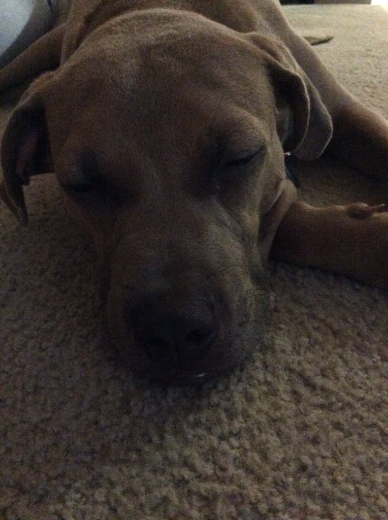 JackPnutButter's tweet image. #FadingFast #HappyNewYear