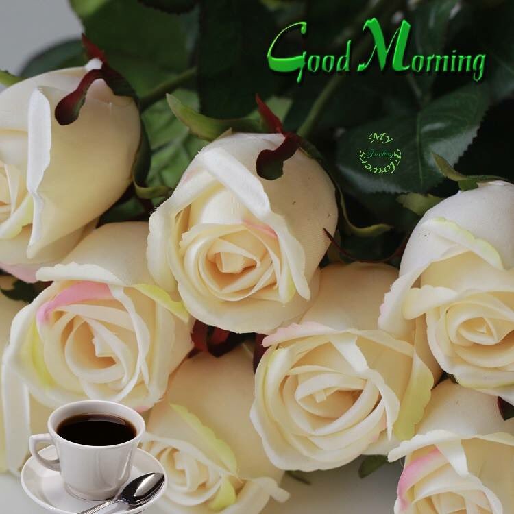 carvalheucilene's tweet photo. @LOYALFAN1 @CivilizedEngr @3399Valentina @elsufuen @AliceBeaussart @feyzakoran @hamzakhald @BlueJasmin6🍂🌼🍂 https://t.co/wXtrdykGpm