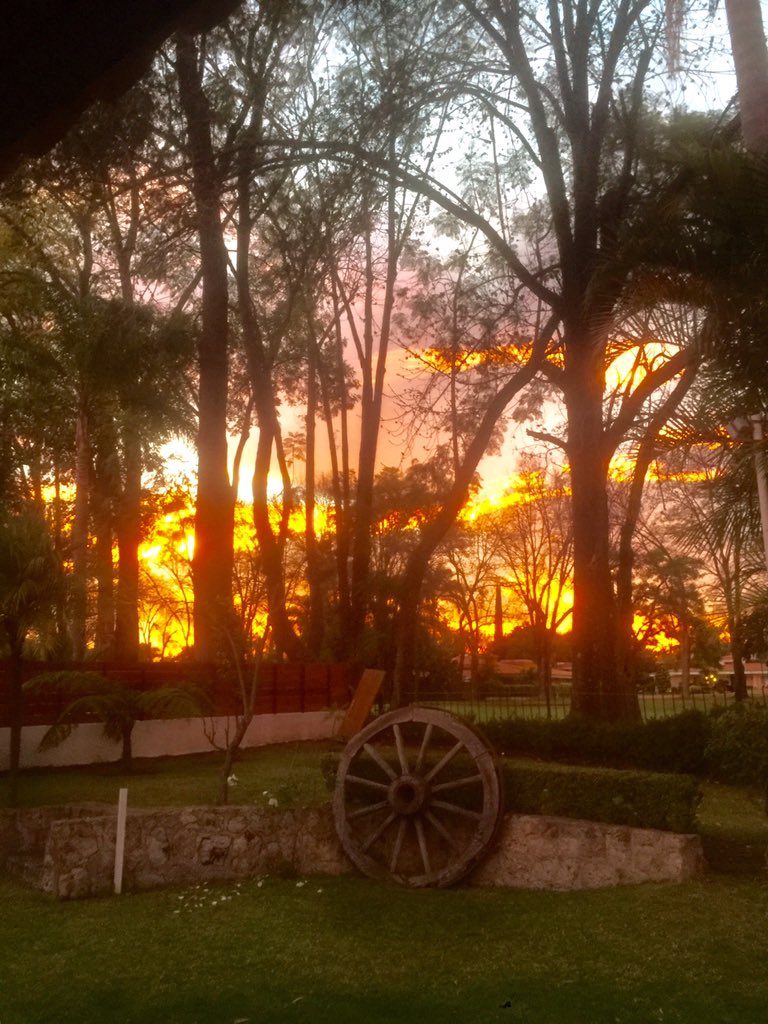 PabloMOficial's tweet photo. El último y bello atardecer del 2015 con esa fuerza del sol empezar el año 🙏🏼 https://t.co/tWVYgPXFpY