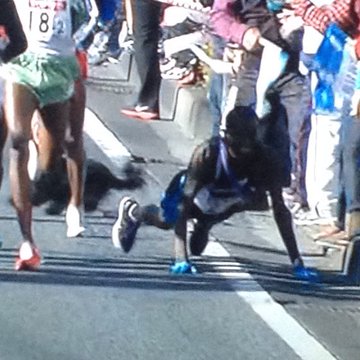 クイラ選手が転倒 犬の飼い主は誰 ニューイヤー駅伝16で話題 フラワーブログ