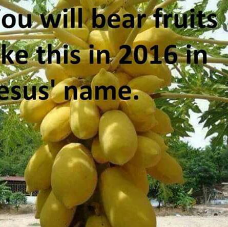 WilliamsProphet's tweet image. 