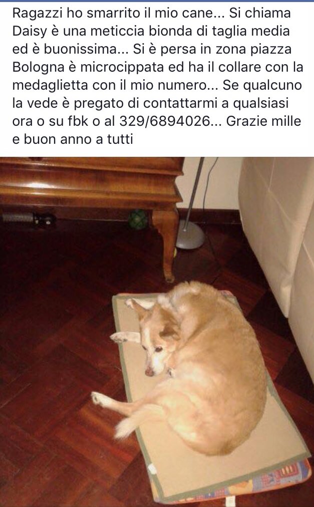 MiSteRX tweet media