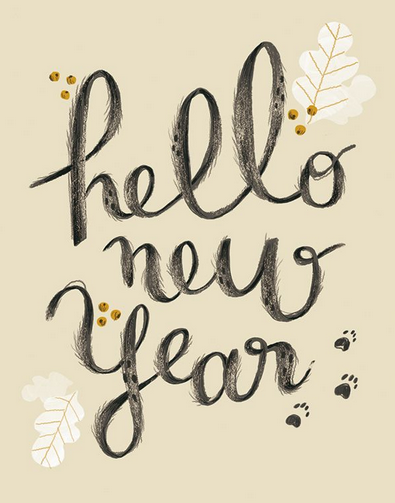 We wish you a safe and wonderful transition into the new year!