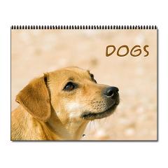 LinBarb9's tweet image. Cute Dogs 2015 Wall Calendar - You can choose which month the calendar starts!
dld.bz/dvXhs