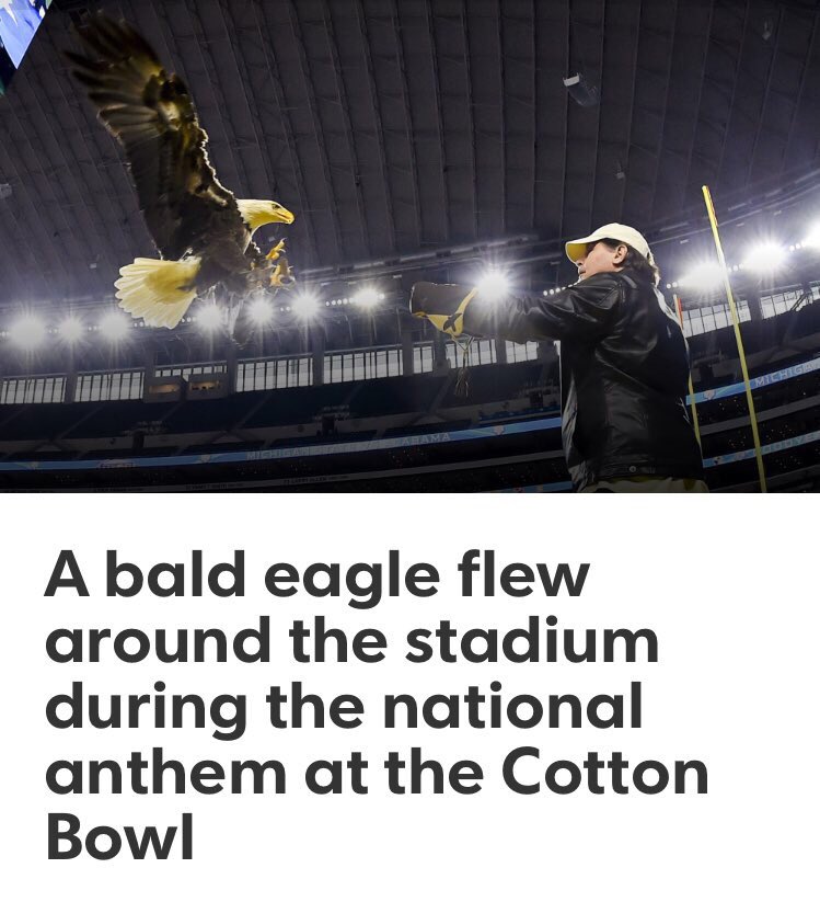 kaylapfunk's tweet image. They say imitation is the sincerest form of flattery. ☺️ War Eagle.