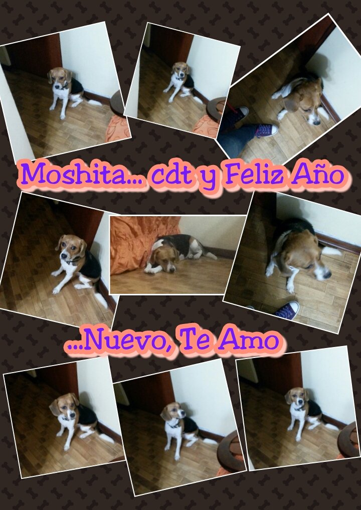 RojValle's tweet photo. Mi moahita te amo y cdt mi cielo https://t.co/iqgxhSGB9O
