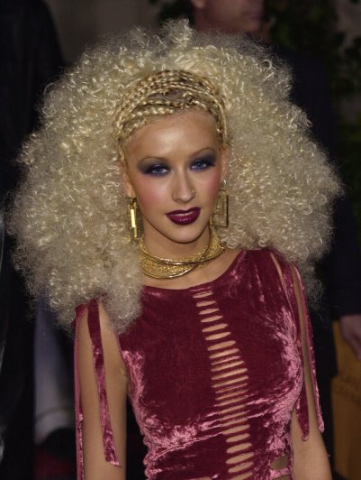 alpaca4Sale's tweet photo. Christina Aguilera? Not an alpaca. Her hair is though. $500 for the hair. https://t.co/HJVheU5HGi