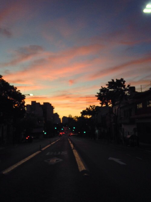 colorsof5sos's tweet image. michael // sky