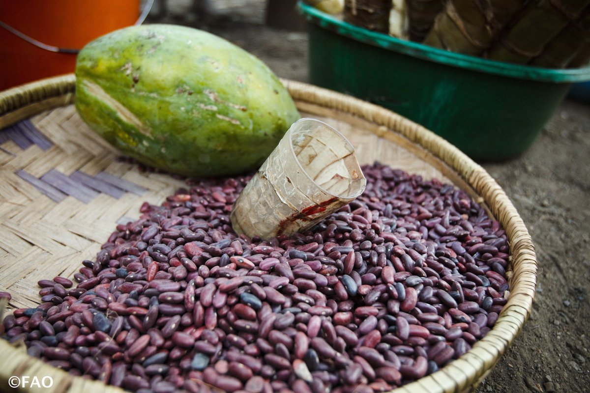 FAOKnowledge's tweet photo. Do you know your pulses? Get to know your mung from your urad w/ this #UNFAO quiz! https://t.co/KiKh8KPw4q #IYP2016 https://t.co/0vDT2tG4HQ