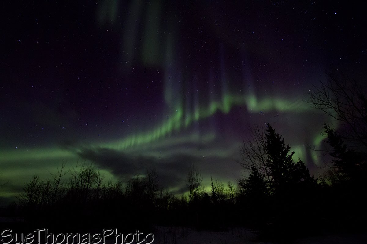 Mother Nature was busy with an #aurora show in #Yukon on this last night of the year. Happy New Year!