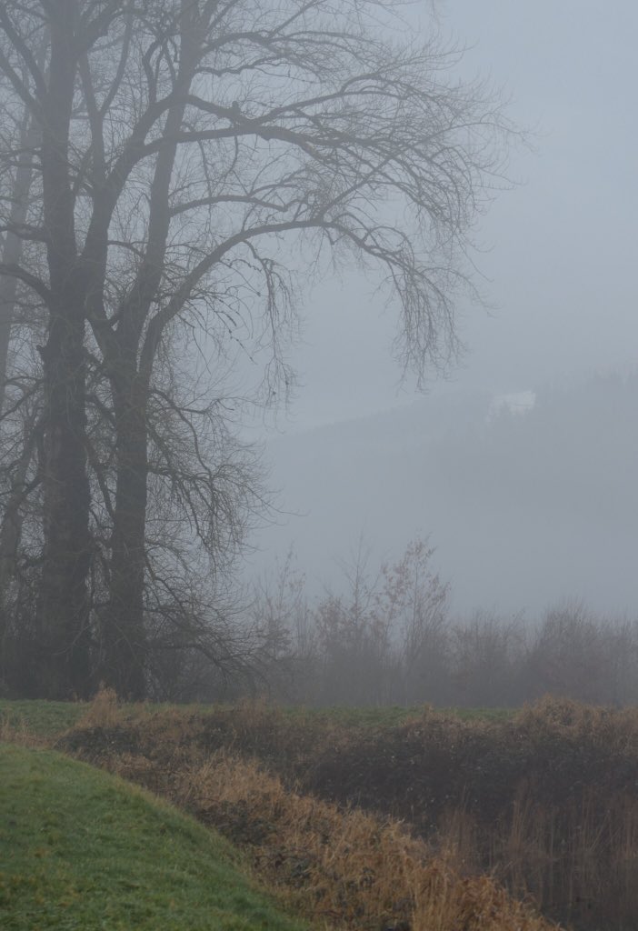 IRT162's tweet photo. #Pittmeadows #beautifulbc #nature #landscape #photo #nikon #mynikonlife #LastTweet2015 #winter #explorebc #peace https://t.co/eMeeGMqjde