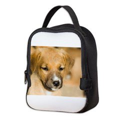 HajdaHarriet's tweet photo. Cute Puppy Neoprene Lunch Bag
https://t.co/M109WT0lcC at cafepress #puppy #dog https://t.co/gVWYuox1Jc