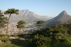 HajdaHarriet's tweet photo. Cape Town, South Africa https://t.co/KMp17G3Xwb