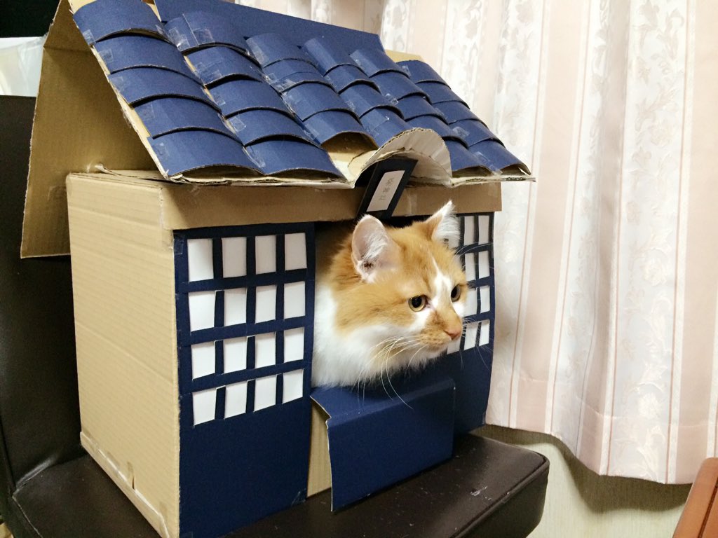 丸山 祐花 ゆかちん 手作りの猫神社 ダンボール切ったり貼ったり曲げたりして作成 V これを見た皆さんに幸せが訪れますように 笑 協力 ミーちゃん T Co 0cimkyvncc Twitter