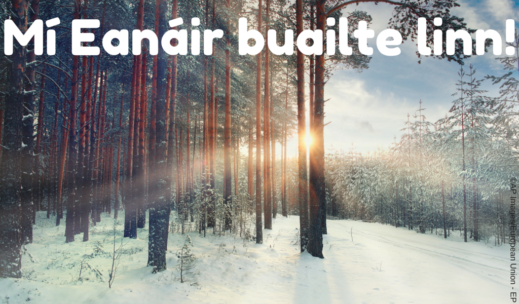 Parlaimint na hEorpa tweet media