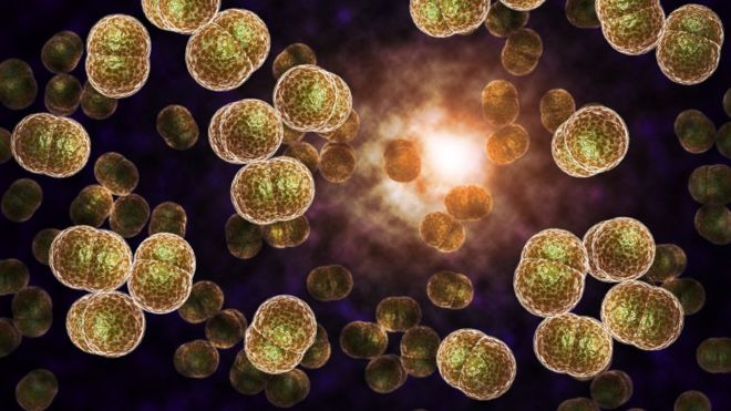 Gonorrhoea 'could become untreatable' bbc.in/1NX0Ynd
