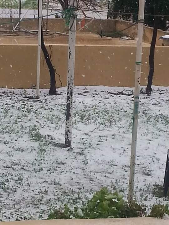 ayom995's tweet photo. ثلووج في الاردن يا لبى الاردن ولبى جوها https://t.co/B7UrkZAGQs