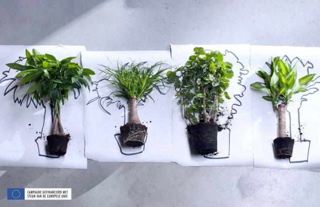Mooiwatplantendoen tweet media