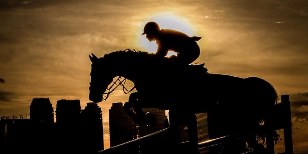 #FEI Solidarity World #Photo Grand Prix - #Photography Students category #equestrian #showjumping