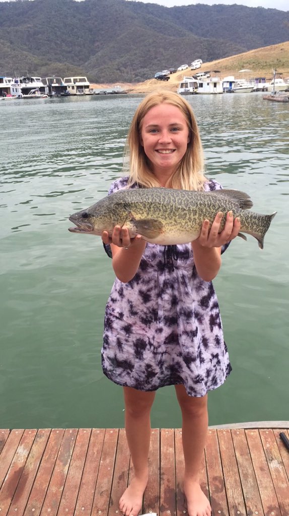 scottbarks's tweet photo. Nice 56cm Cod @lakeeildon released to make some more! https://t.co/ZHZDvKVqb5